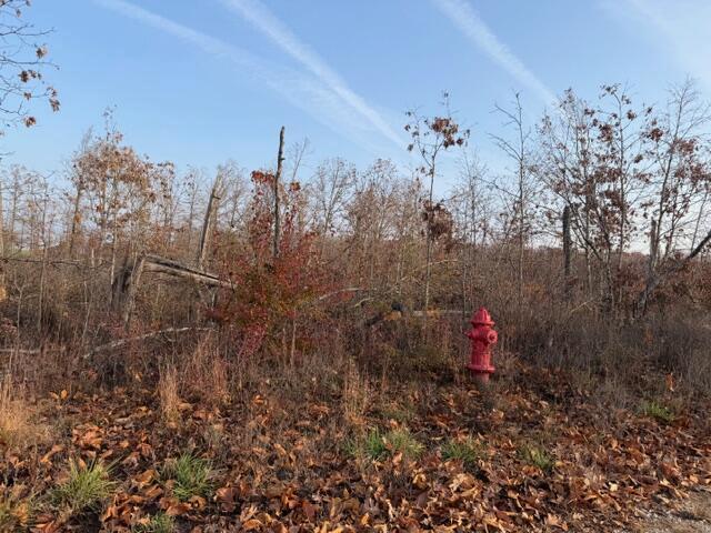 Land for sale in Howell, Missouri