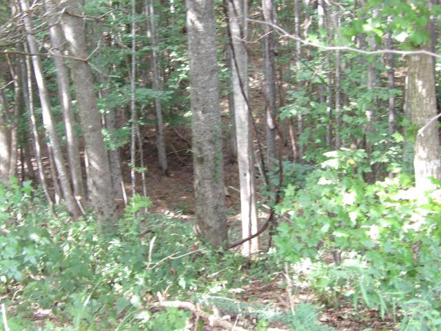 Land for sale in Tennessee