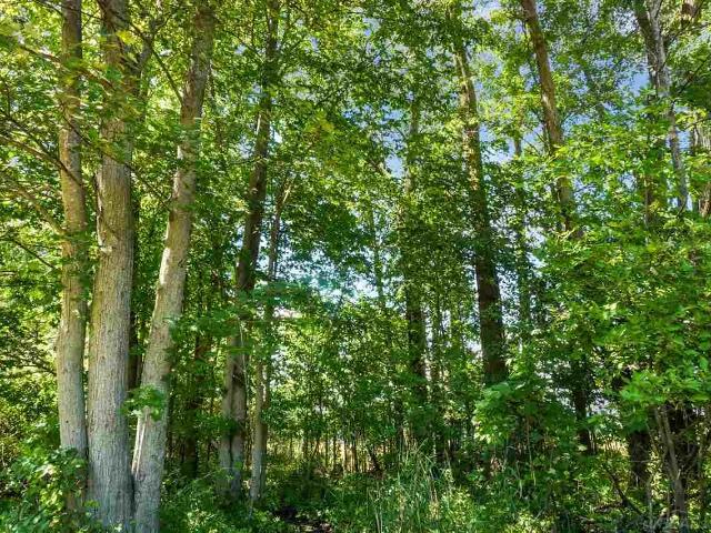 Land for sale in Melvin