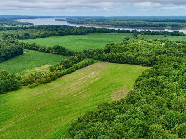 Farm for sale in Livingston County, Kentucky