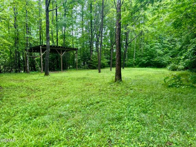 Land for sale in Tennessee