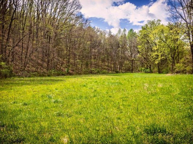 Land for sale in Tennessee