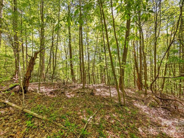 Land for sale in Spruce Pine, North Carolina