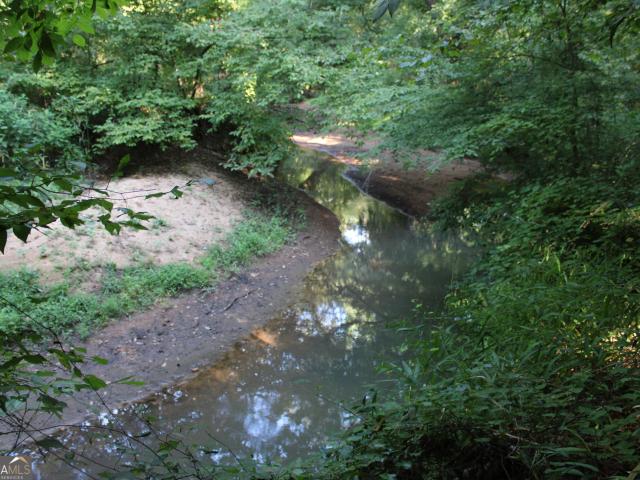 Land for sale in Union Point, Taliaferro County