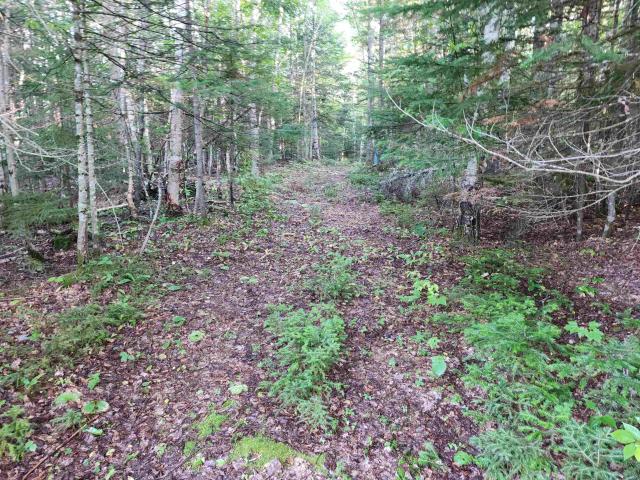 Land for sale in New Hampshire