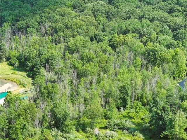 Land for sale in Naples, New York