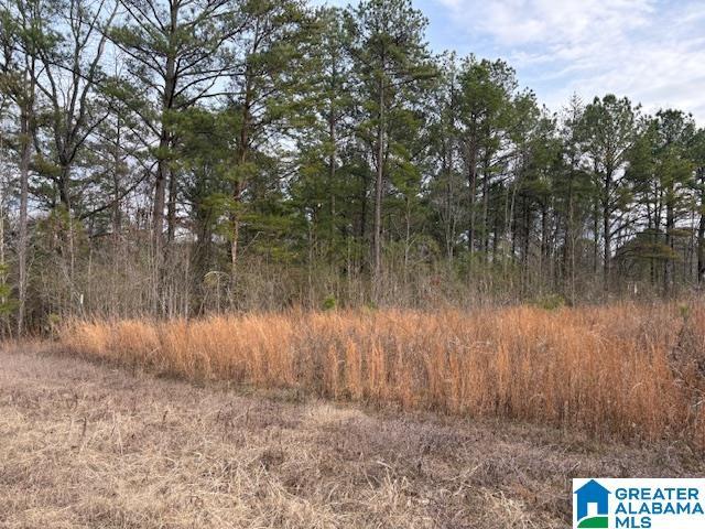 Land for sale in Blount, Alabama