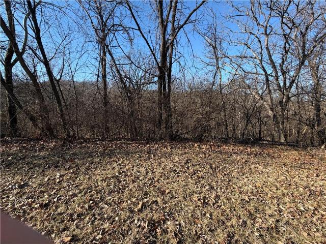 Land for sale in Ray, Missouri