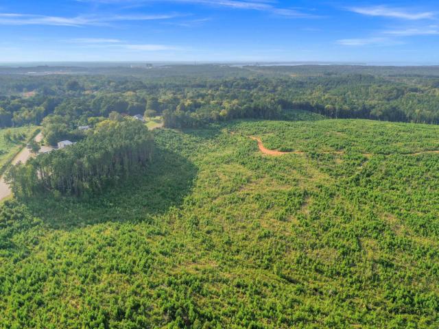 Land for sale in Jenkinsville, South Carolina