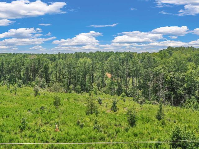 Land for sale in Jenkinsville, South Carolina