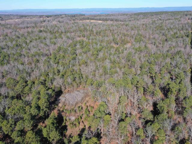 Land for sale in Ark