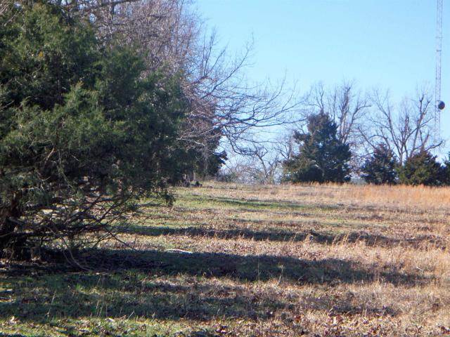 Land for sale in Ark