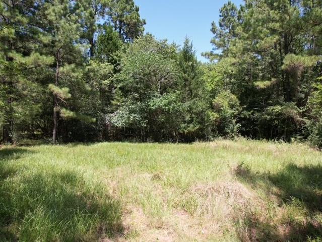 Land for sale in New Waverly, Walker County