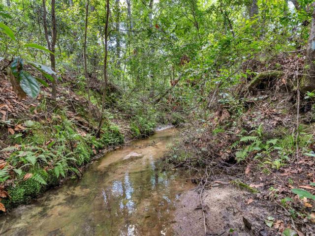 Land for sale in Manning, South Carolina