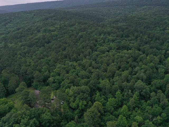 Land for sale in Ark
