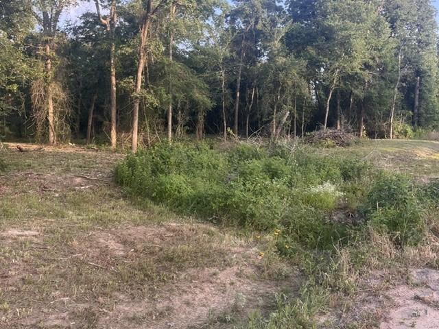 Land for sale in Hempstead, Waller County