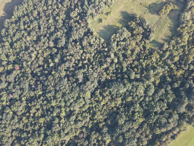 Land for sale in Kentucky