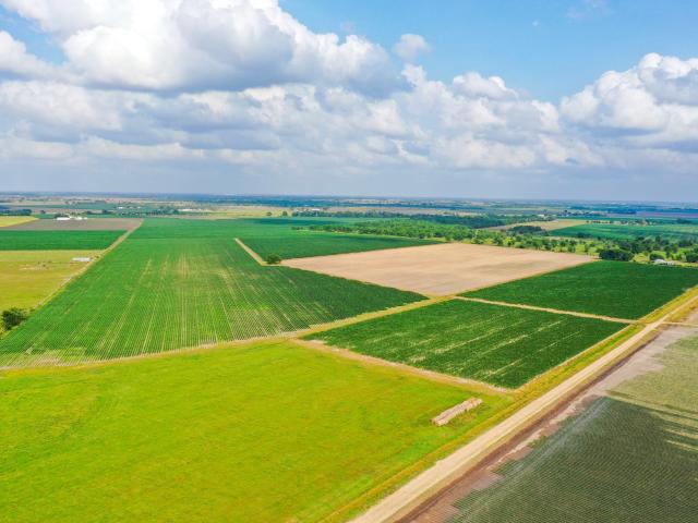 Land for sale in Beasley, Fort Bend County