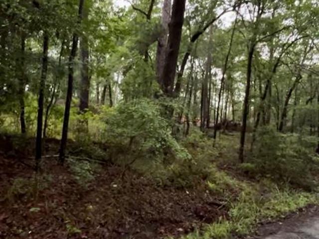 Land for sale in Broaddus