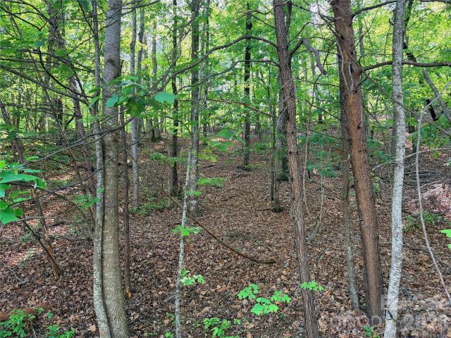 Land for sale in Rutherford, North Carolina