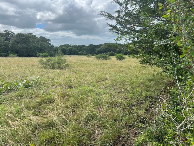 Land for sale in Schulenburg, Fayette County
