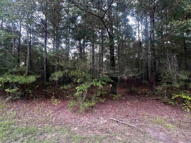 Land for sale in Ark