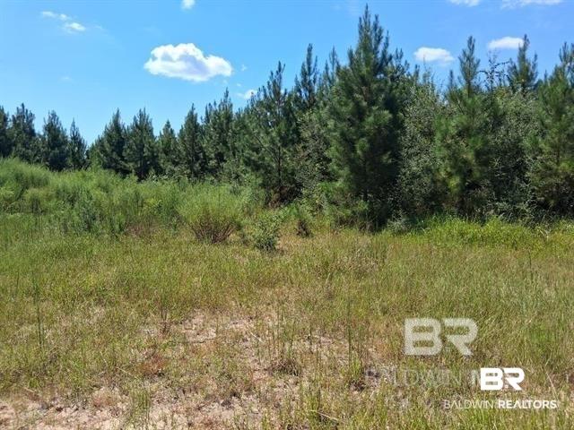 Land for sale in Robertsdale, Alabama