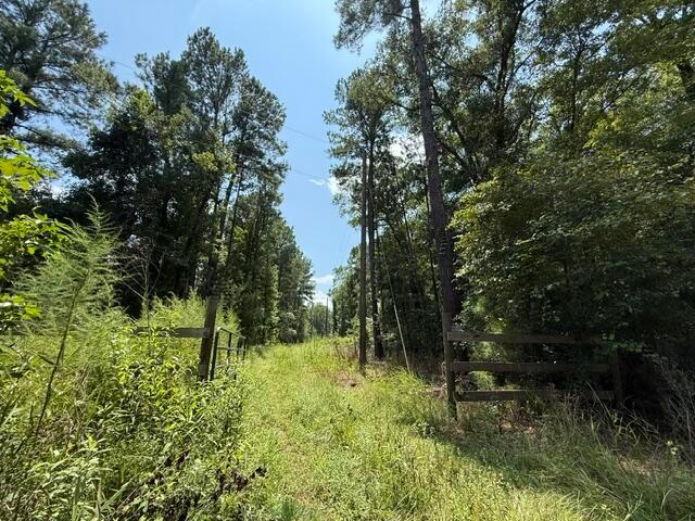Land for sale in Smoaks, Colleton County