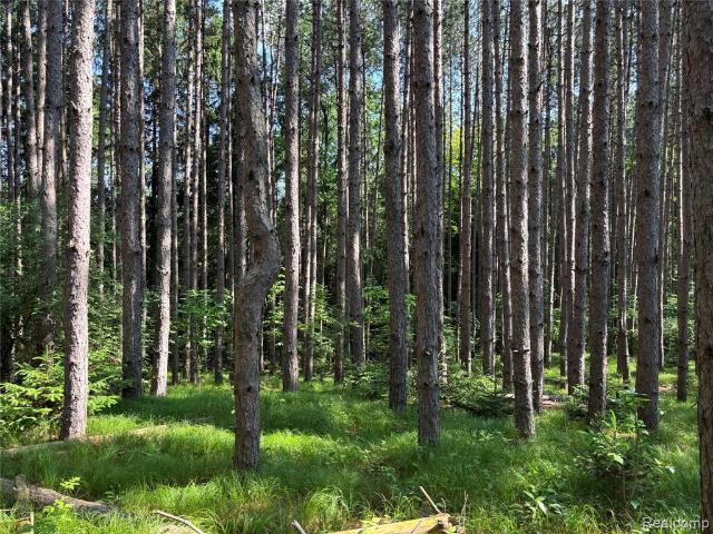 Land for sale in Attica