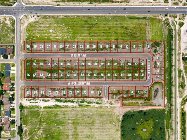 Land for sale in Hidalgo, Texas