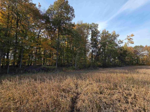 Land for sale in Butler, DeKalb County