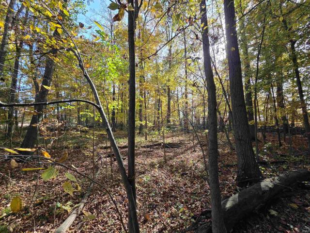 Land for sale in Butler, DeKalb County