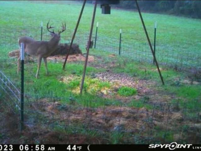 Land for sale in Groveton, Texas