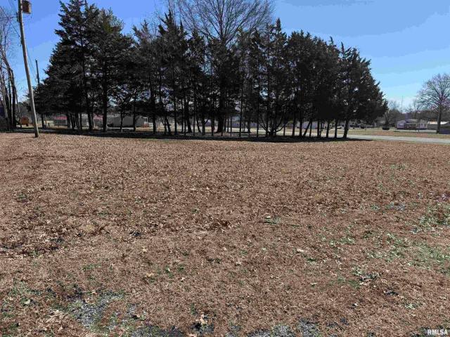 Land for sale in Valier, Illinois