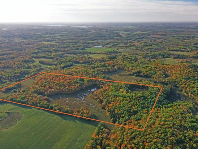 Land for sale in Osage, Becker County