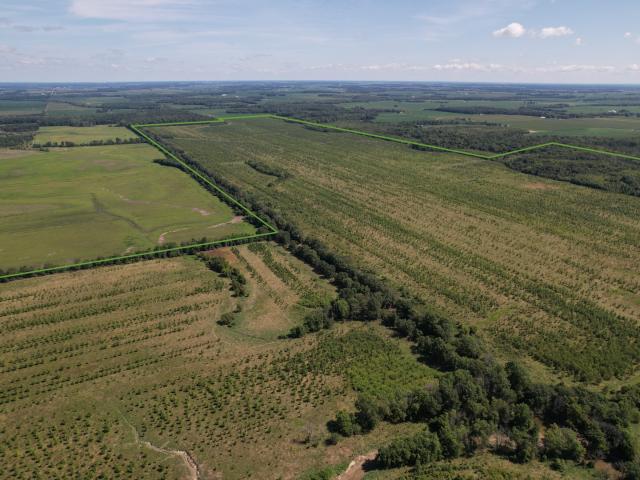 Land for sale in Clay City, Illinois