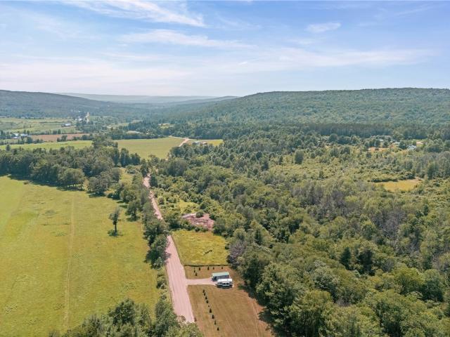Land for sale in Aristotle, Town of Angelica