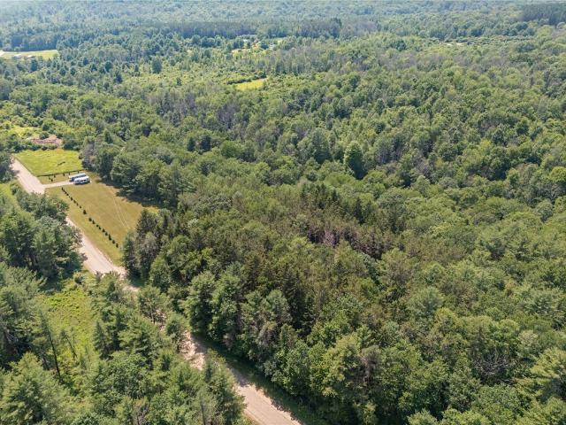 Land for sale in Angelica, New York