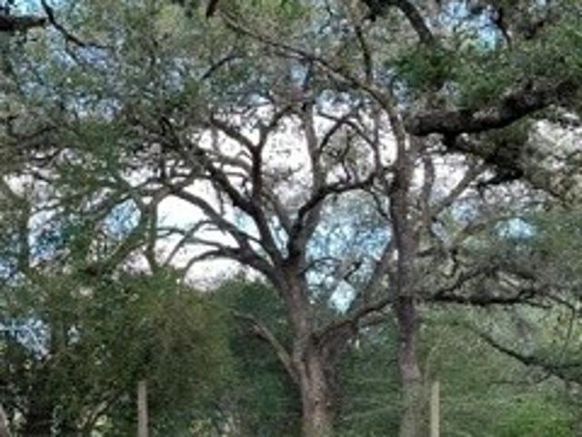 Farm for sale in Meyersville, Cuero