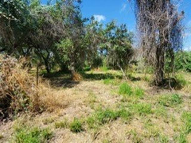 Land for sale in Mooney Lane Colonia, Ingleside