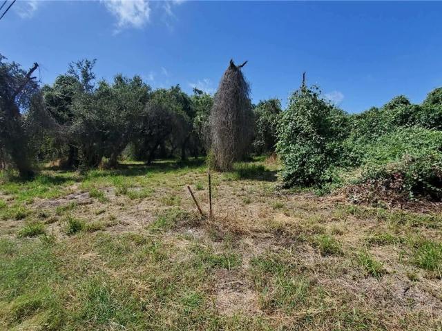 Land for sale in Mooney Lane Colonia, Ingleside