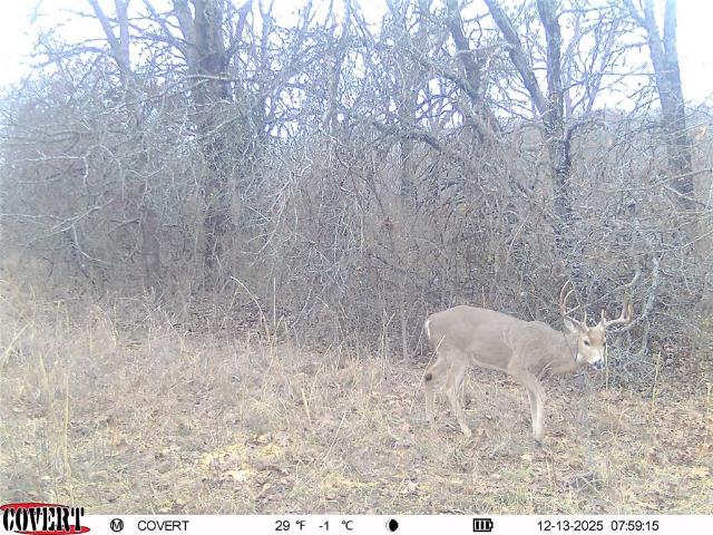 Land for sale in Weleetka, Oklahoma