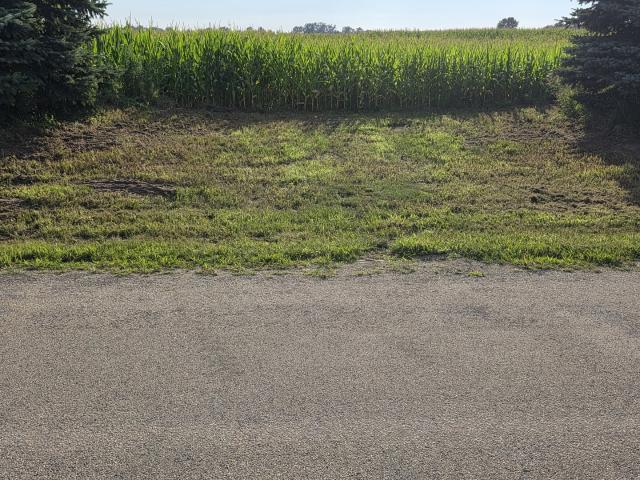 Farm for sale in Bonfield, Illinois