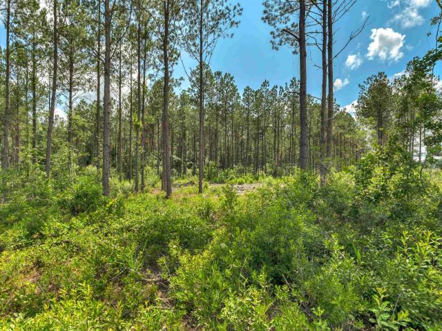 Land for sale in Cypress Fork Crossroads, Manning