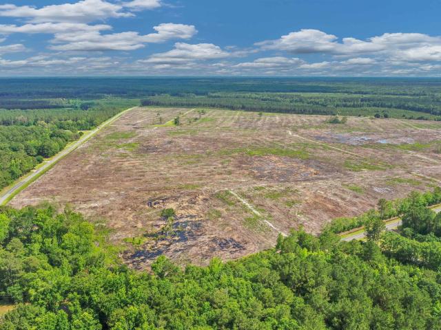 Land for sale in Manning, South Carolina
