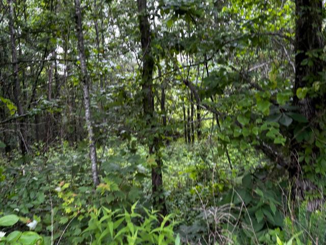 Land for sale in Ark