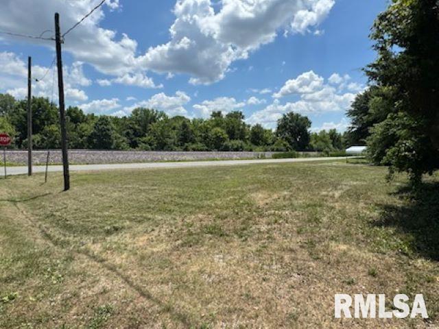 Land for sale in Bonnie, Illinois