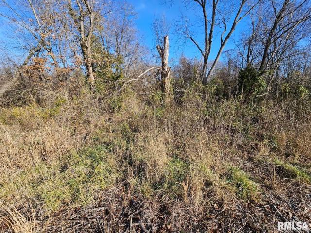 Land for sale in Bonnie, Illinois