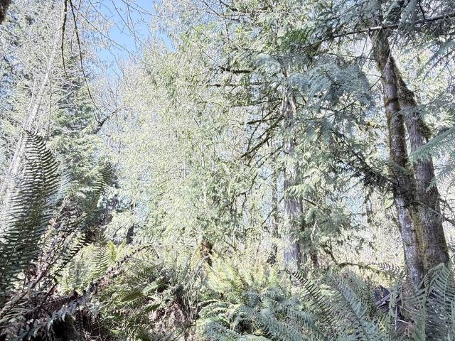 Land for sale in Oregonia