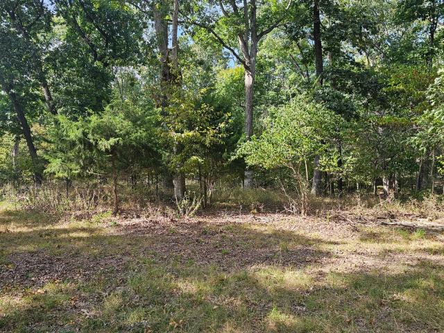 Land for sale in Dix, Jefferson County